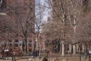 Photographs at the dog run in Washington Square Park. 