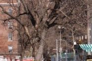 Photographs of Firefighters enjoying their lunch break in Washington Square Park. 