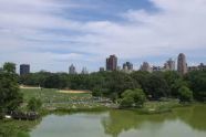 Turtle Pond from Belvedere Castle. 