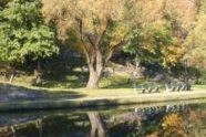 Turtle Pond 