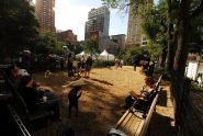Union Square Dog Run 