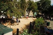 Union Square Dog Run 