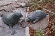 East River Park Seals 