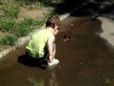 Central Park "Kiddie Explorer" 