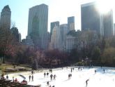Wollman Rink 