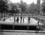 Children Swim in Summer 