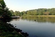 Another Breathtaking Feature of Inwood Hill Park 