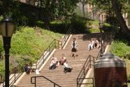 Lounging on the Stairs in June 