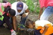 Planting in the Garden 