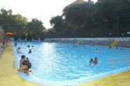 An August Day in the Pool 