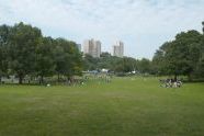 The Park in Summer 