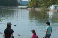 Feeding Ducks in Summer 