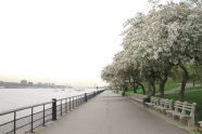 By the River 