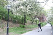 Blading Through... 