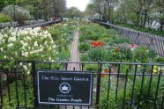 The 91st Street Garden 