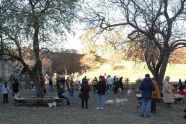 The Dog Run! 