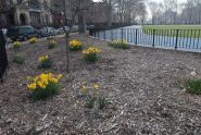 The Park in Spring 