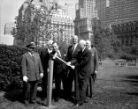 Dedication Ceremonies at Eisenhower Mall 