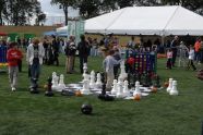 Sports Fest 