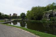 The Pond 