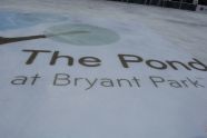 A New Season's Ice 