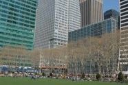 Tall Trees, Taller Buildings 