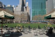 A Peaceful Afternoon in the Park 
