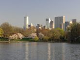 Central Park  