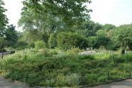 Fort Tryon Park 