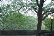 Fort Tryon Park 