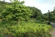 Fort Tryon Park 