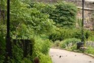Fort Tryon 
