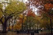 Madison Square Park 