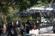Shake Shack 