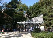 Shake Shack 