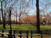 Battery Park 