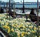 Battery Park  