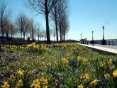 Battery Park 