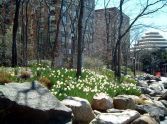 Battery Park 