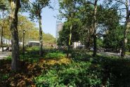Battery Park 