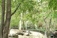 Madison Square Park dog run 