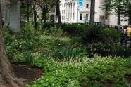 Madison Square Park 
