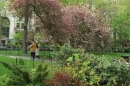 Madison Square Park 