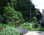 Madison Square Park 