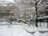 Winter at St. Catherine's Park 
