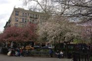 Tompkins Square Park 