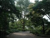 Fort Tryon 