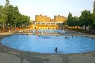 Hamilton Fish Pool 