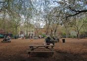 Tompkins Square Park dog run 