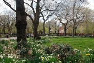 Tompkins Square Park 
